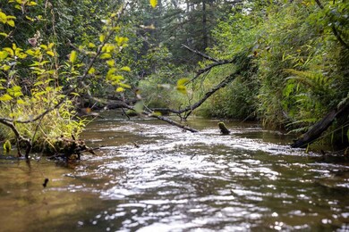 N9895 Krause Rd, Engadine, MI 49827 - photo 6