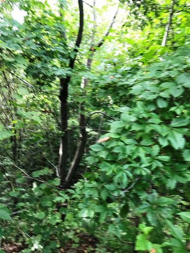 Lot 8 Steeple View Dr, Bethlehem, NH 03574 - photo 7