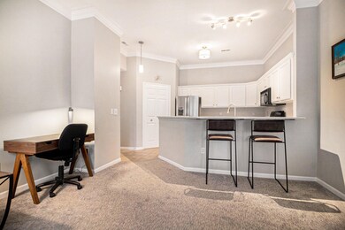 2291 S Main St unit 45, Ann Arbor, MI 48103 - photo 5