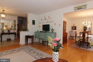 732 Loraine St, Ardmore, PA 19003 - photo 7