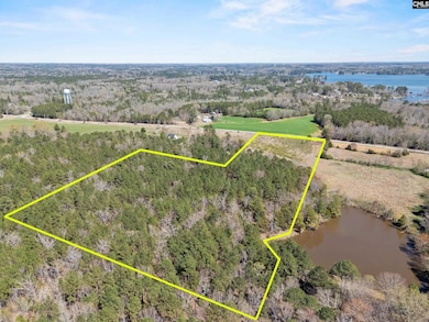 0 Amicks Ferry Rd, Chapin, SC 29036 - photo 2