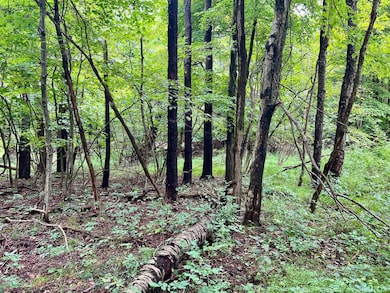 0 Benjamin Franklin Hwy, Ebensburg, PA 15931 - photo 2