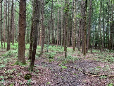 0 Moon Rd, Sterling Township, PA - photo 2