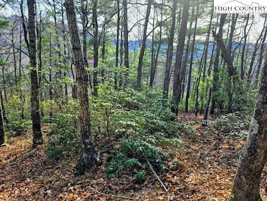 TBD Summit Rise Dr, Boone, NC 28607 - photo 5