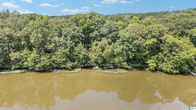 Lot 7A Hebb Rd, Wilsonville, AL 35186 - photo 5