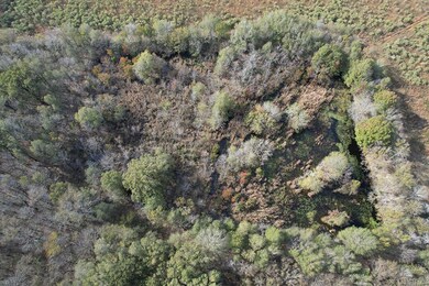 John Rivers Rd, Winnsboro, LA 71295 - photo 6