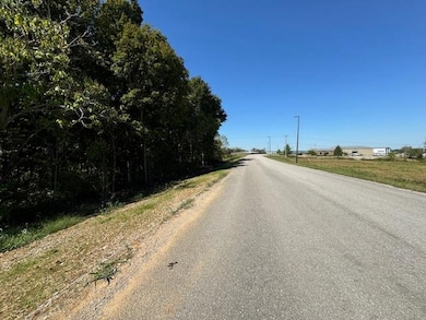 Tract 3 Carroll Knicely Dr, Glasgow, KY 42141 - photo 2