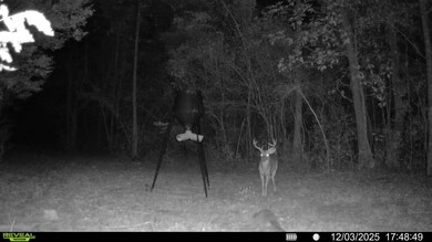 Parcel 1 Sunburst Dr, Crestview, FL 32539 - photo 5