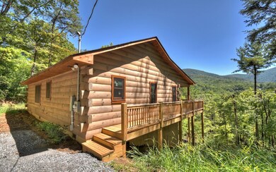 Additional View