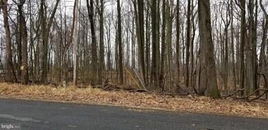 0 LOT 209 Woodcrest Dr, Gainesboro, VA 22603 - photo 5