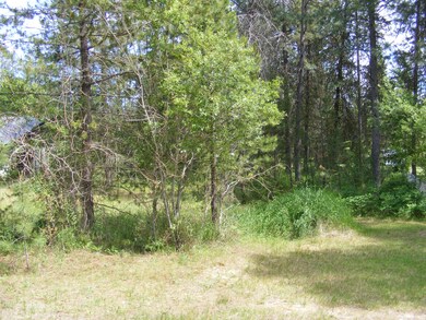 North Side of Lot