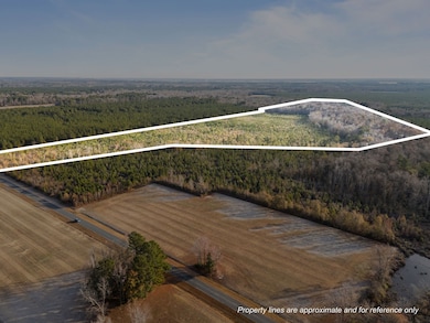 Walker Rd, Aurora, NC 27806 - photo 3