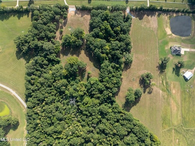 0 Cane Creek Rd unit 4132139, Flora, MS 39071 - photo 7