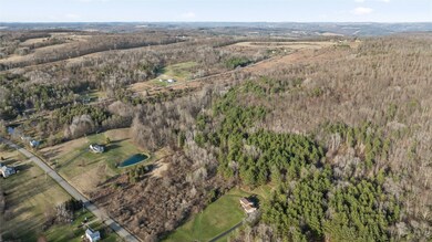 0 Foster Valley Rd unit 330660, Owego, NY - photo 3