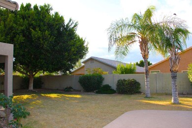 Backyard 1