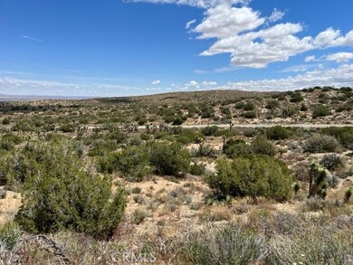 0 Longview Rd Punchbowl Rd Vic Ave Y6 unit SR25228129, Juniper Hills, CA 93543 - photo 7