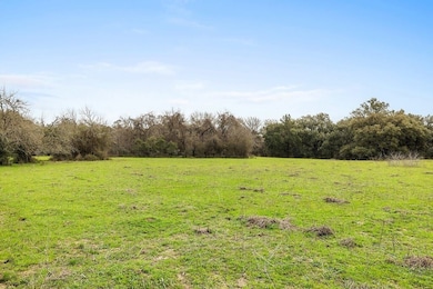 0 Tract 3- 35 00 Acres unit TBD Kleihege Rd, New Ulm, TX 78950 - photo 7