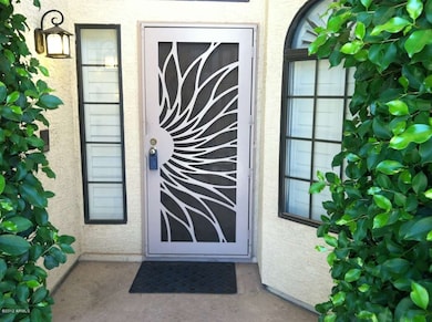 Front door with security gate