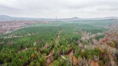 2346 Poole Town Rd, Asheboro, NC 27205 - photo 4