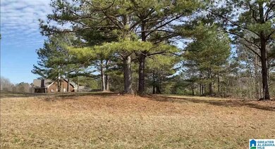 Lot 4 County Road 70, Thorsby, AL 35171 - photo 5