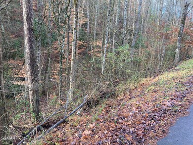Lot 53A Fiesta Blvd, Sevierville, TN 37876 - photo 4