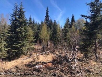 66384 Markoka Ave, Anchor Point, AK 99556 - photo 5