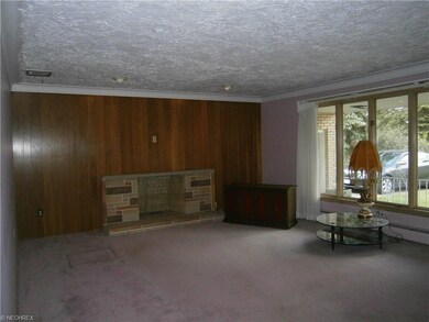 There is hardwood under all the carpeting.