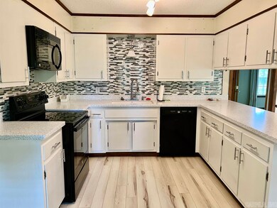 9257 Arkansas 141, Beech Grove, AR 72412 - photo 6