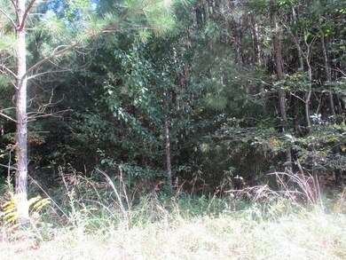 0 Gordy Cir unit 1289649, Tunnel Hill, GA 30755 - photo 3