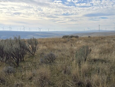 0 Gossen unit 515415298, Wasco, OR 97065 - photo 5