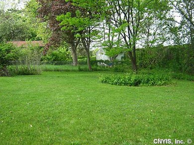 Backyard extra lot