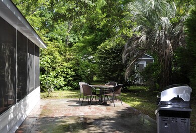 Backyard 1