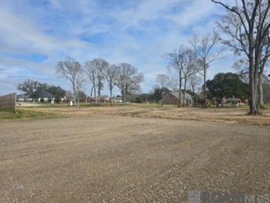 TBD Tiger Bend Rd, Baton Rouge, LA 70817 - photo 3