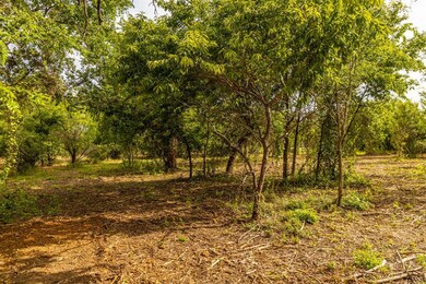 TBD 1 Ox Mill Creek Rd, Weatherford, TX 76087 - photo 7