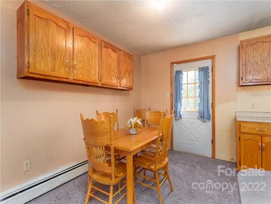 109 Dix Creek Chapel Rd, Asheville, NC 28806 - photo 5