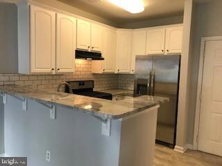 15620 Everglade Ln unit 203, Bowie, MD 20716 - photo 5