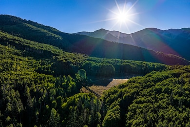 49404 Fs 567, Mancos, CO 81328 - photo 3