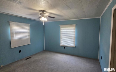 202 Evans St, Loami, IL 62661 - photo 6