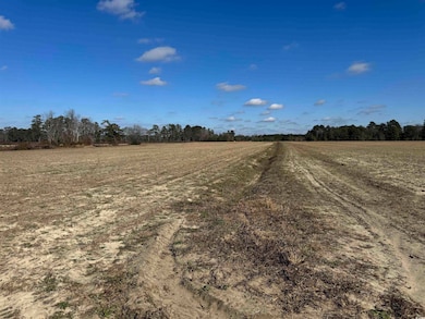 TBD Shelley Ln, Nichols, SC 29581 - photo 7