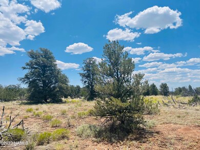 4799 N Hidden Ranch Rd Photo 5