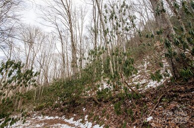 00 Lori Ln, Whittier, NC 28789 - photo 6