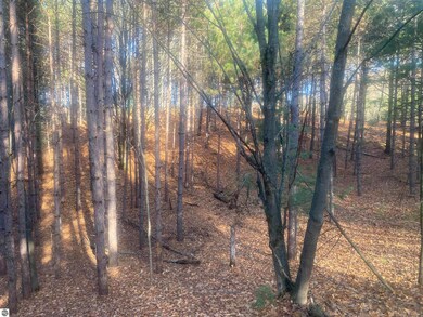 000 E Hammond Rd, Traverse City, MI 49686 - photo 6