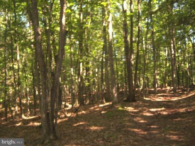 0 Magnolia Rd unit 1001180023, Great Cacapon, WV 25422 - photo 4