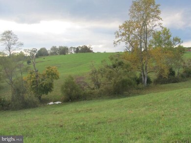 0 Lizzie Mills Rd, Castleton, VA 22716 - photo 5