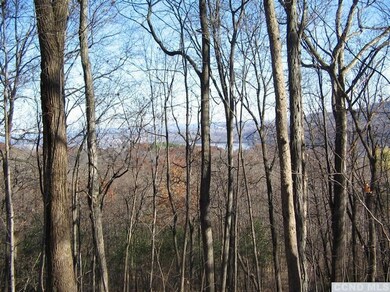 0 Route 385 unit 94946, Athens, NY 12015 - photo 4