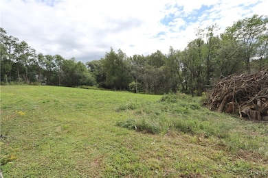 19907 Miser Rd, Black River, NY 13612 - photo 5