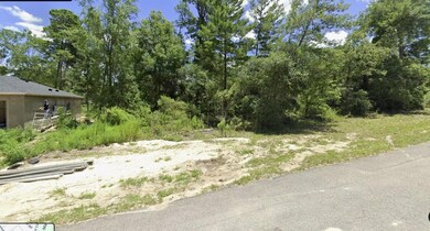 0 SW 169th Place unit MFRO6363221, Ocala, FL 34473 - photo 6