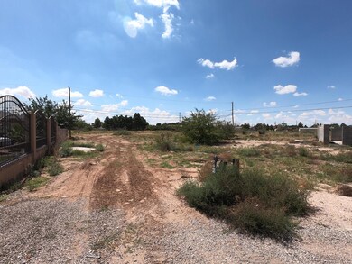 731 Cobre St, Horizon City, TX 79928 - photo 4