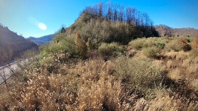 0 US Highway 119, Pikeville, KY 41501 - photo 6