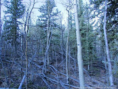 Land/Lot.